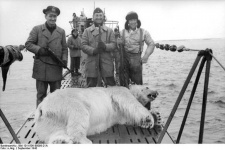  Фото из архивов национального парка "Русская Арктика"