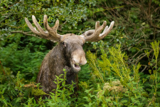 Фото: Наталия Федосова, участница фотоконкурса РГО «Самая красивая страна» Фото: Наталия Федосова, участница фотоконкурса РГО «Самая красивая страна»