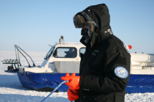 Фото: Сергей Новиков Фото: Сергей Новиков