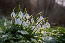 Фото: Юрий Югансон