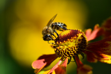 Фото: Борис Риганов, участник конкурса РГО "Самая красивая страна" Фото: Борис Риганов, участник конкурса РГО "Самая красивая страна"