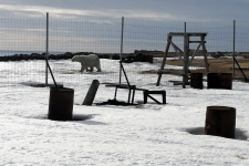 Фото: Алексей Абрамчук