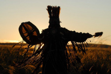 Фото Андрея Шапрана