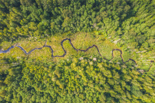 Автор: Дмитрий Иванов