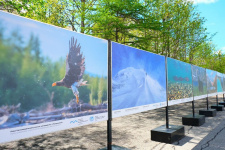 Фото : ТИЦ Магаданской области