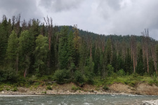 Фото: пресс-служба Хакасского заповедника