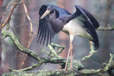 Фото: Михаил Вершинин, участник фотоконкурса РГО "Самая красивая страна" Фото: Михаил Вершинин, участник фотоконкурса РГО "Самая красивая страна"