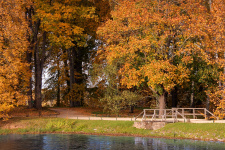 Пушкинские горы. Фото: Дмитрий Колачев, участник фотоконкурса РГО "Самая красивая страна" Пушкинские горы. Фото: Дмитрий Колачев, участник фотоконкурса РГО "Самая красивая страна"