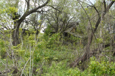 Бывшее село Красицкое Бывшее село Красицкое