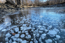 Ледяные пузырьки метана образуют неповторимый узор во льду озер и рек. Фото автора