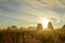 Фоторабота - участник конкурса прежних лет. Фото предоставлено Костромским музеем природы