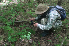 В экспедиции. Фото: Костромское отделение РГО/ Анна Ефимова