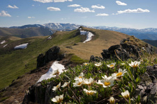 Заказник "Позарым" им. В.М. Зимина Заказник "Позарым" им. В.М. Зимина