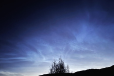 Фото: Надежда Алаганчакова