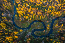 Река Рощинка. Фото: Андрей Казаренко