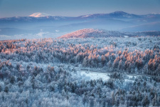 Зимняя дорога. Фото Алексей Мараховец, участник фотоконкурса РГО "Самая красивая страна"