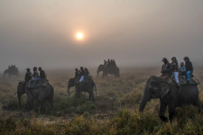 В Национальном парке Казиранга экспедиция передвигалась на слонах, штат Ассам. Фото: Леонид Круглов