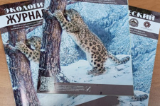 Экологический журнал. Фото Елены Скоробогатовой