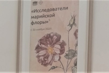 Выставка "Исследователи марийской флоры". Фото Е. Гончаров