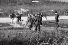 Фото: с сайта zen.yandex.ru