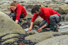 Фото: пресс-служба заповедника "Магаданский"