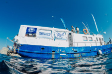 Фото: Павел Терехов