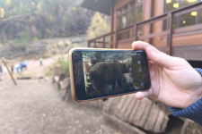 Дополненная реальность на "Красноярских Столбах". Фото: Красноярское краевое отделение РГО