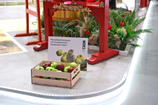 11 января на выставке "Россия" прошел День Курской области. Фото: пресс-служба Администрации Курской области. 11 января на выставке "Россия" прошел День Курской области. Фото: пресс-служба Администрации Курской области.