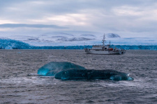 Ледник Рыкачёва. Фото членов экспедиции
