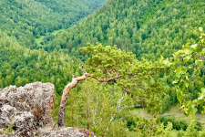 В Башкортостане стартовал пожароопасный сезон. Фото: пресс-служба РО РГО в РБ