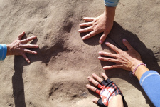 Следы динозавров обнаружены новосибирскими исследователями в Таджикистане. Фото Ольги Маслобоевой