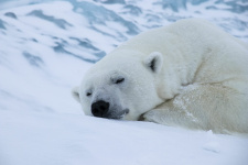 Автор фото: Максим Перваков