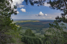 Фото предоставлено АКО ВОО РГО