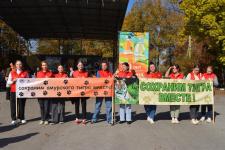 Сохраним амурского тигра вместе. Фото: Анастасия Александрова