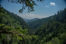Фото предоставлено АКО ВОО РГО