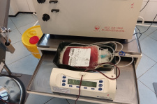 Донорская кровь. Фото: Красноярское краевое отделение РГО