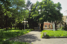 Фото: Kemal KOZBAEV⁄ Wikimedia Commons