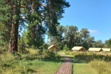 В Бузулукском бору. Фото: Оренбургское реготделение РГО