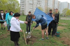 Посадка деревьев. Фото предоставлено Брянским областным отделением РГО