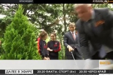 В Краснодаре у дворца спорта "Олимп" посадили несколько десятков туй