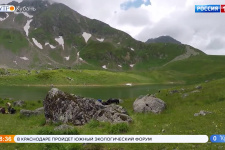 Краснодарский фотограф попал в список 400 лучших фотографов-натуралистов России