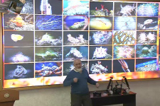 25.12.2019. Мастер-класс "Введение в подводную фотографию"