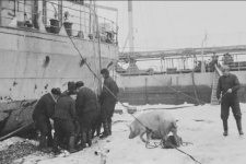 1.03.21. Б. Дворкин. ЭОН-3. Секретная экспедиция