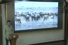 7.10.14. Саванны и высокогорья Кении