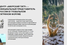 28.07.23. С. Арамилев. 75 лет охране тигра в России