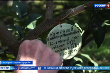 Россия: Первая прививка на Дереве Русского географического общества