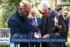 Кубань 24: В Сочи заложили новую традицию — на Дереве РГО сделали первую прививку
