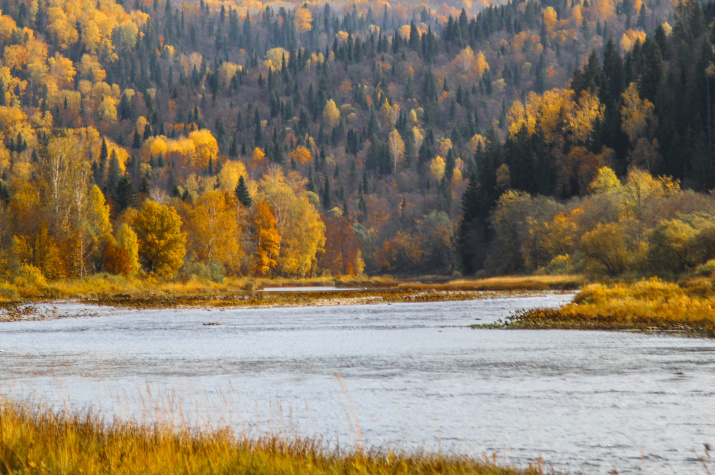 Лемеза осенью