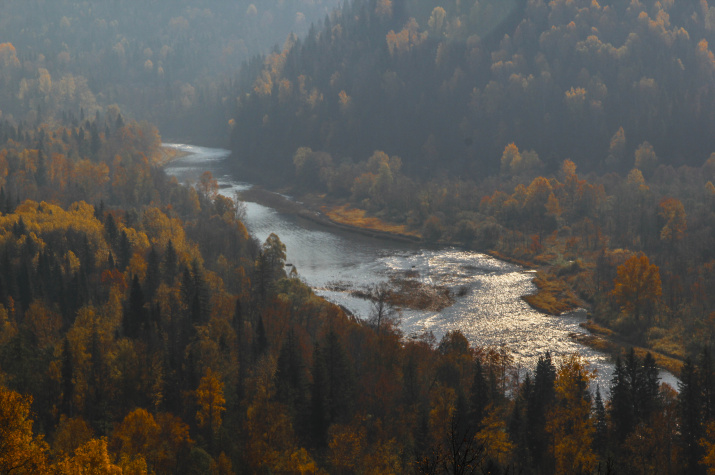 Лемеза осенью