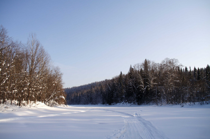 Лемеза зимой